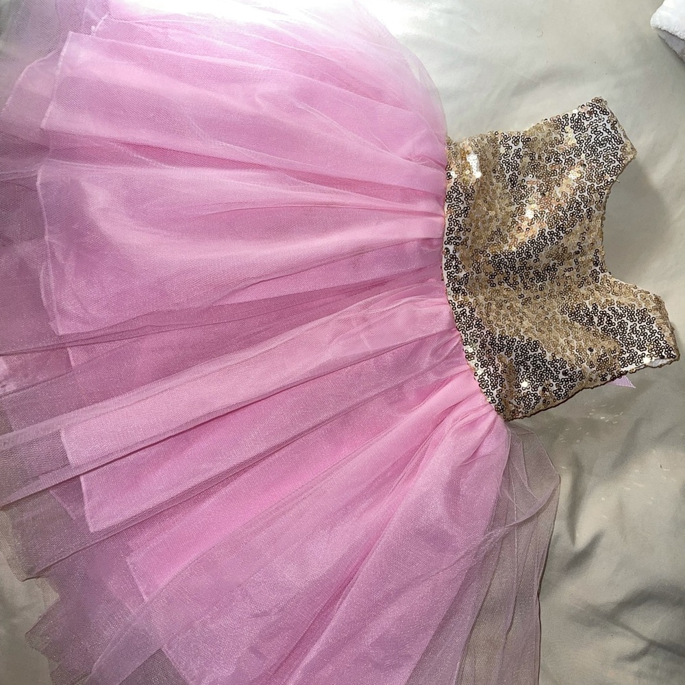 Princess Dress
WORN ONCE. 
Size 12-18 months 
Original price paid was $22.99